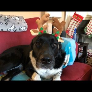 Meet your Posher, Sheri